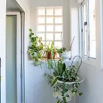 Casa Rosas Vila Nova de Gaia