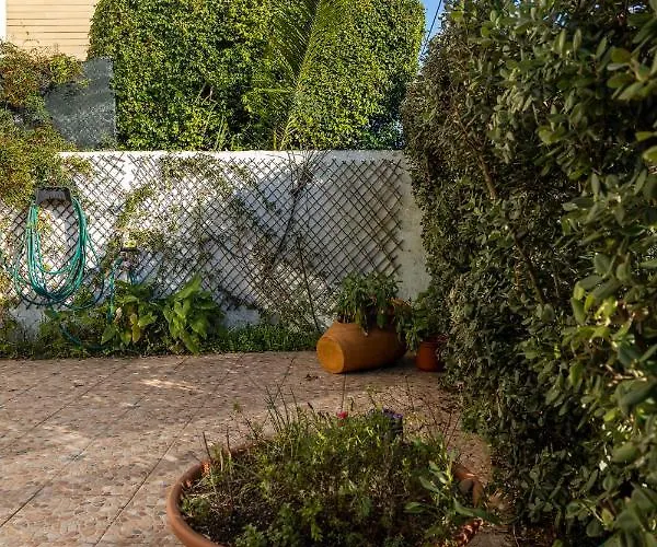 Casa Rosas Vila Nova de Gaia