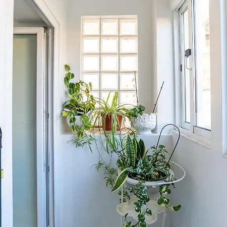 Casa Rosas By Mp Vila Nova de Gaia