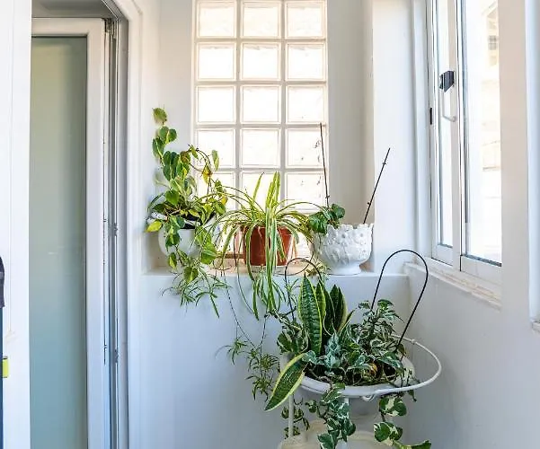 Casa Rosas By Mp ヴィラ・ノヴァ・デ・ガイア